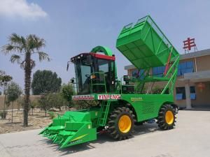 玉米青儲(chǔ)機(jī)操作規(guī)范出臺(tái)，確保有效安全收割