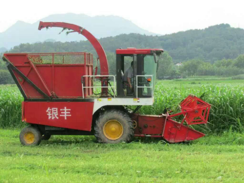 自走式青儲機你選對了嗎？銀豐青儲機好品質